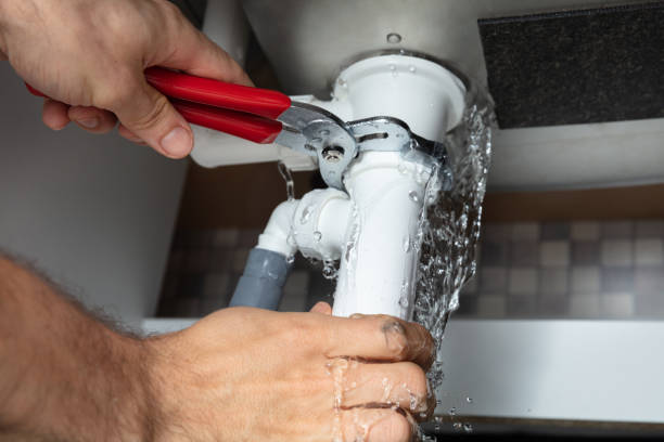 Best Water damage restoration mold remediation  in Metlatla, AK