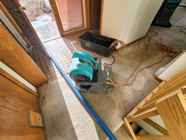 Best Commercial water damage restoration  in Metlatla, AK
