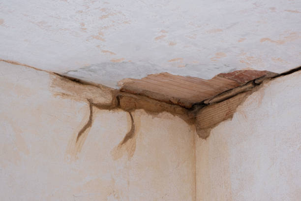 Best Mold removal after water damage  in Metlatla, AK