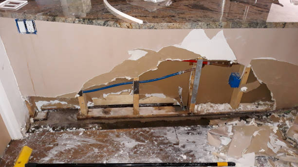  Metlatla, AK Water damage restoration Pros