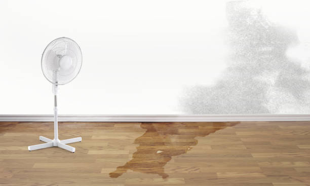 Best Ceiling water damage repair  in Metlatla, AK